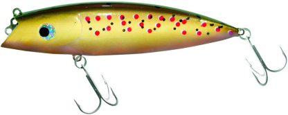 Big Fish 20cm  brown trout