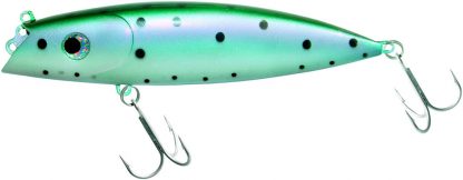 Big Fish 20cm  rainbow trout