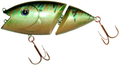 Belly Dancer 6cm  super perch