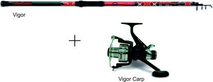 Vigor 3.60m 100g + Vigor Carp 160